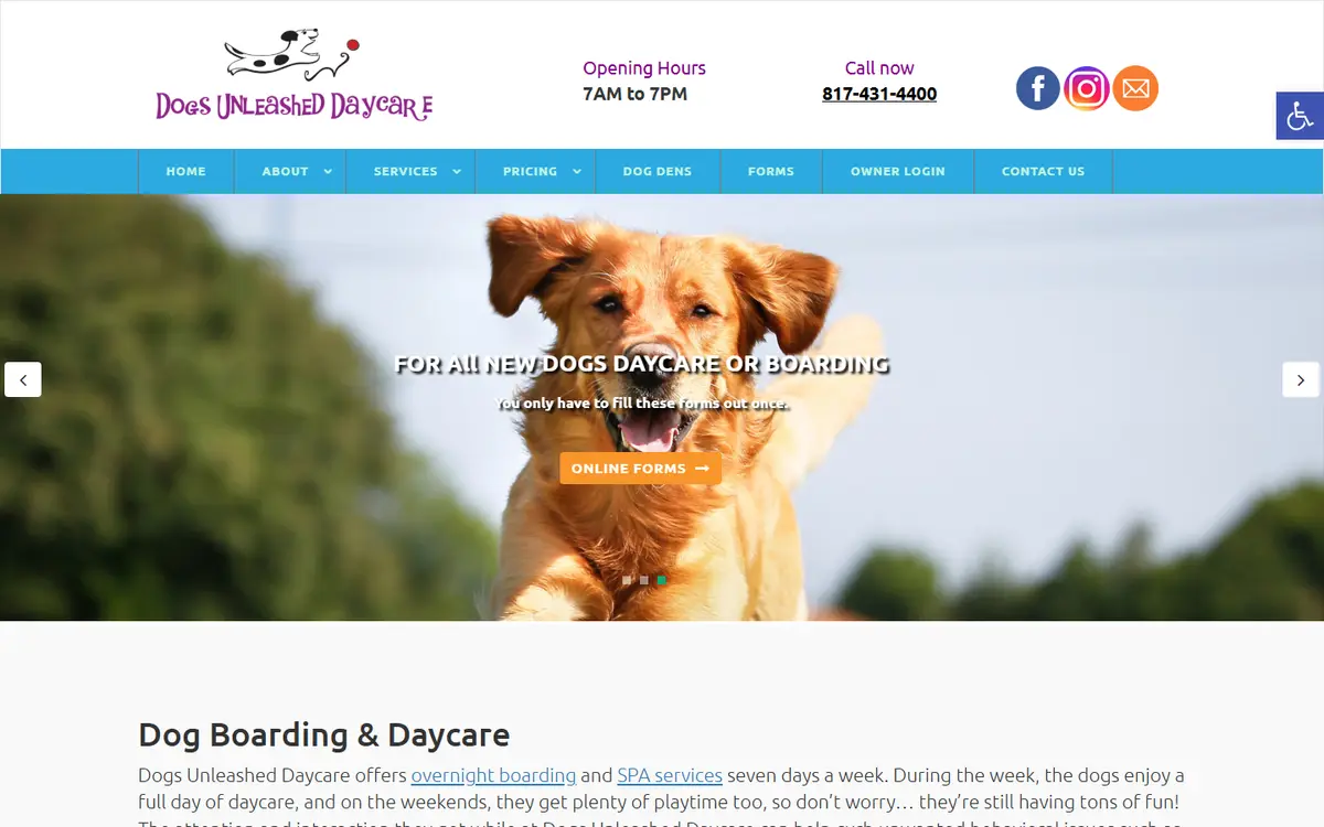 Dogs Unleashed Daycare website